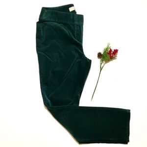 Loft “Julie” 4P Velveteen petite pants